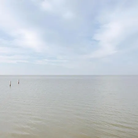 Seefalkenstrasse 펜션